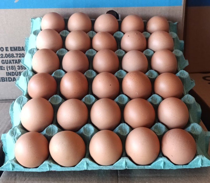 Ovos do tipo 'Vermelho'